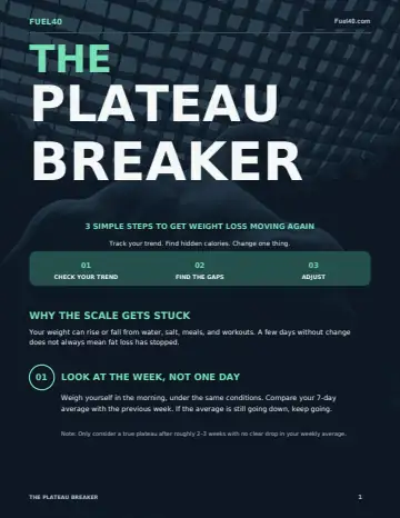 The Plateau Breaker — actual PDF cover
